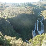 Waterfall in the middle of trees