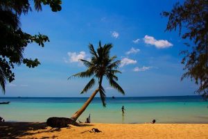 The gorgeous beach in Koh Tao, one of the 3 amazing islands in South Thailand