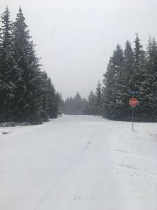 Nordic in Working a Whistler Ski-season