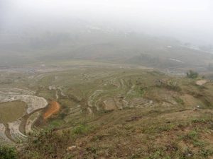 Rice Fields in SaPa, Vietnam, South East Asia