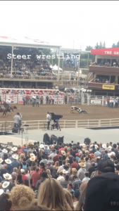The steer wrestling competition at the Rodeo