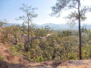 The Pai Canyon rim surrounded by trees in North Thailand