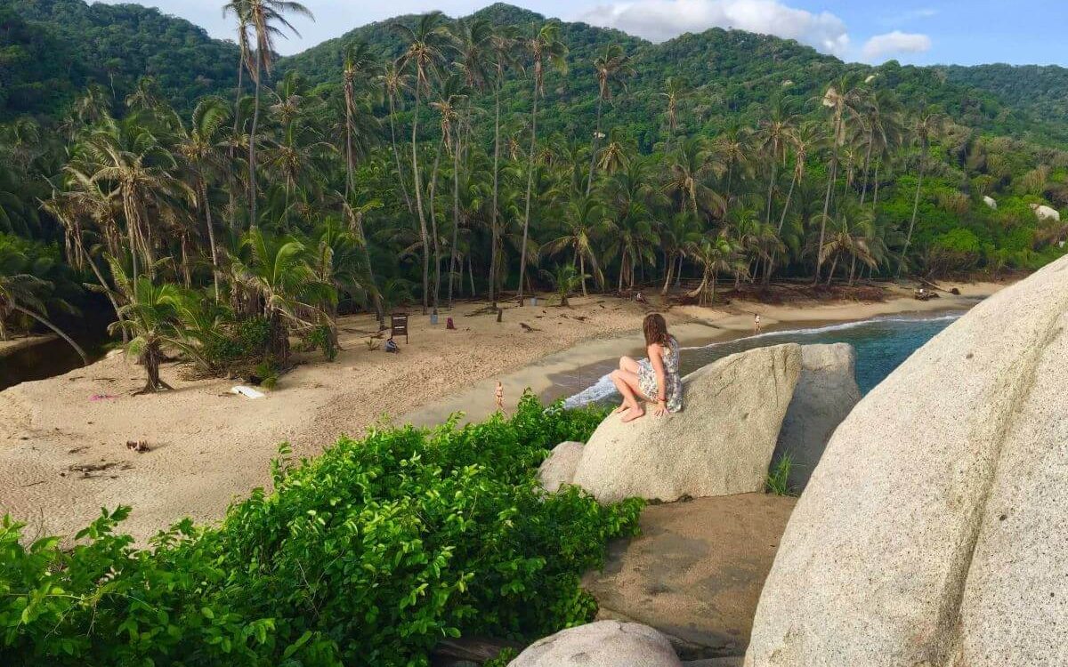 me over looking the jungle