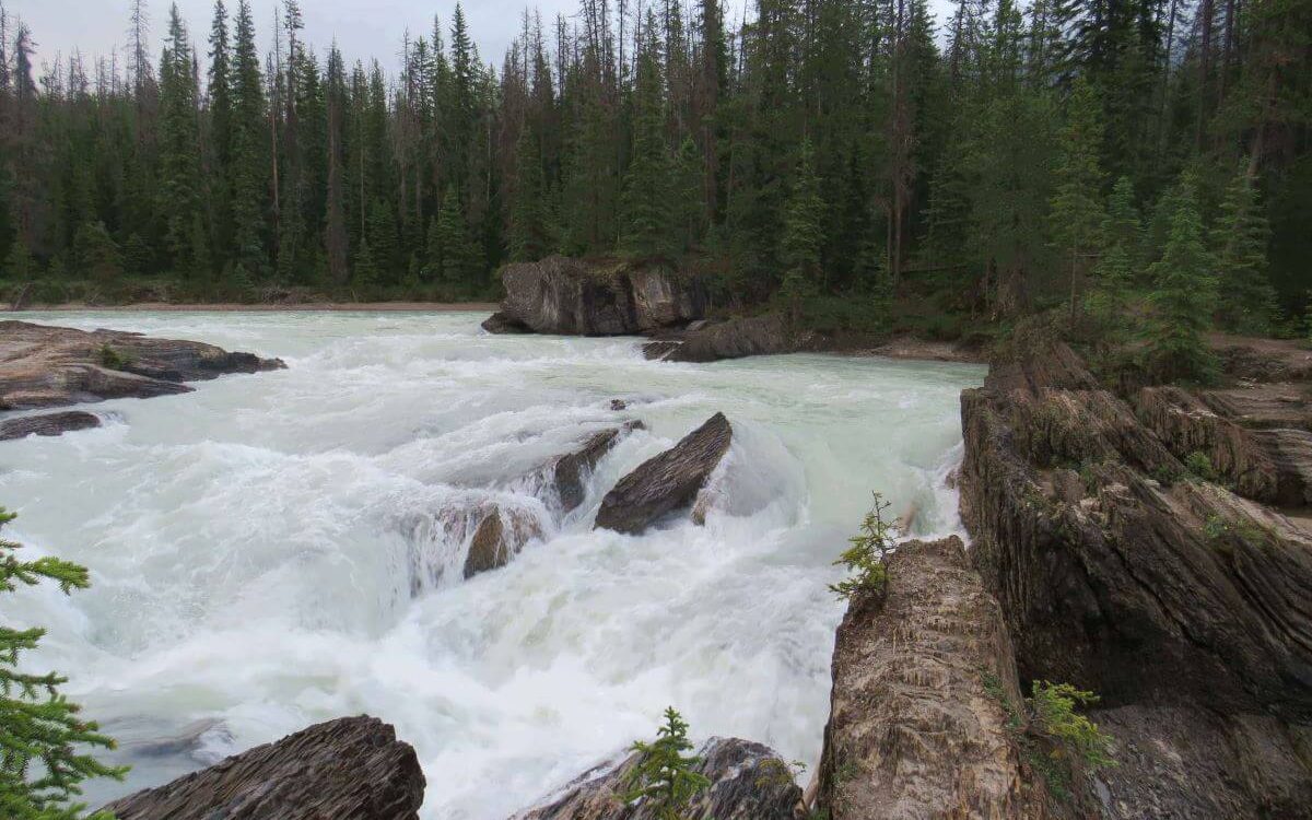 A Stunning Drive Through the Beautiful Yoho and Glacier