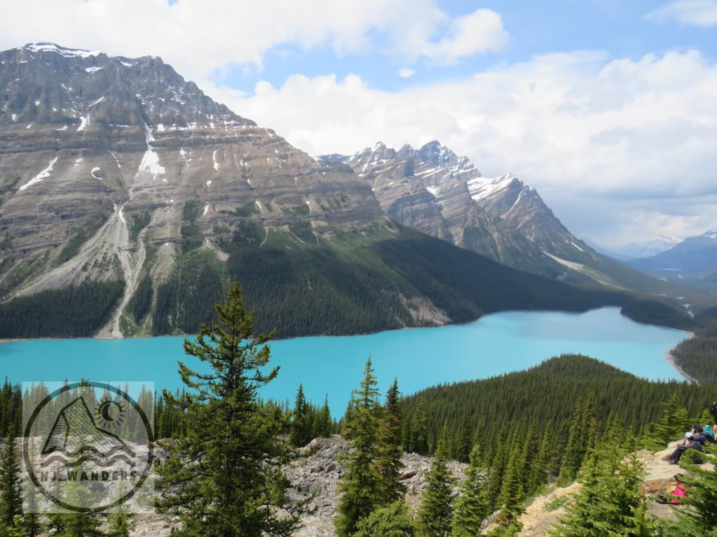 A beatuiful lake Peyto in Banff National Park with a mountain backdrop