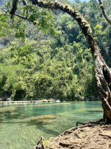 green trees filling th ebackdrop with a natural pool of green and blue water