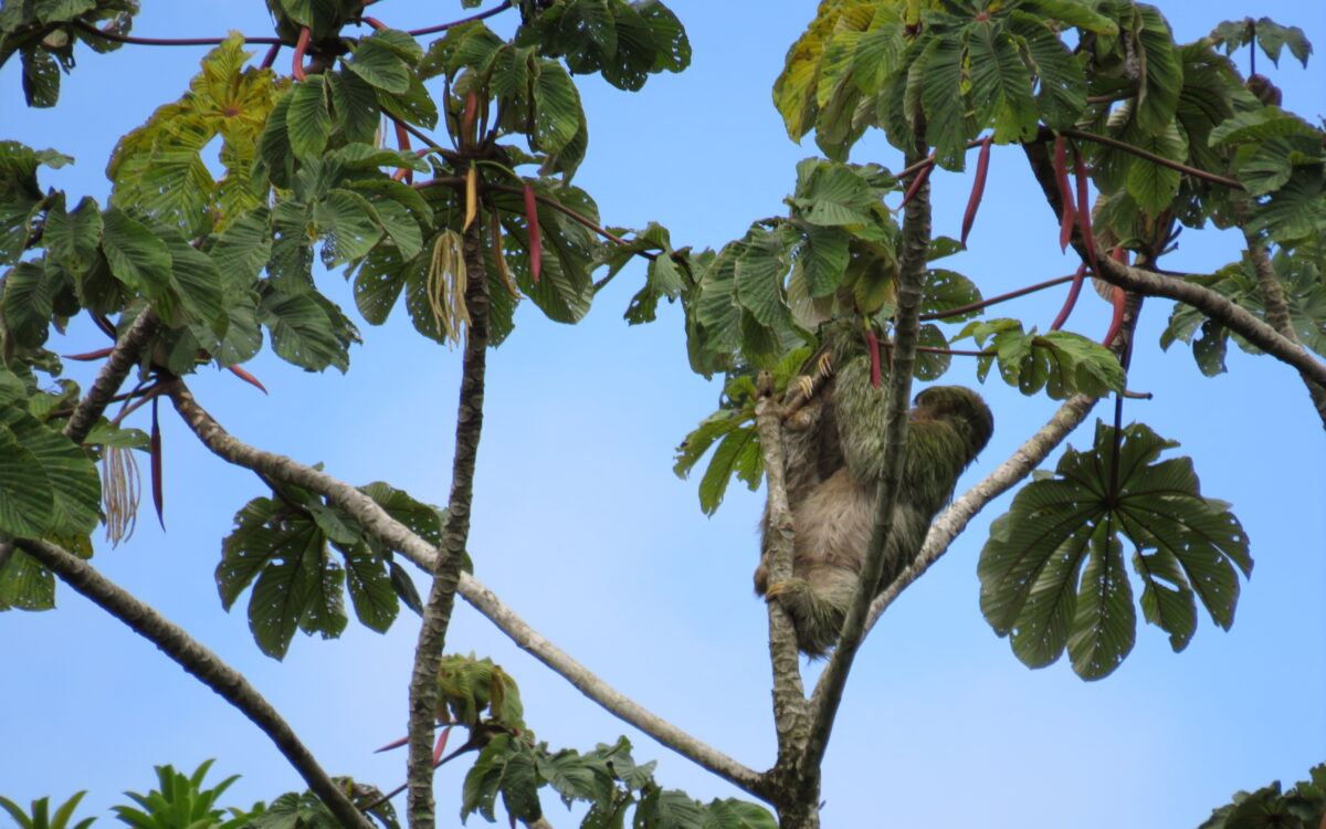 Green Season in Costa Rica