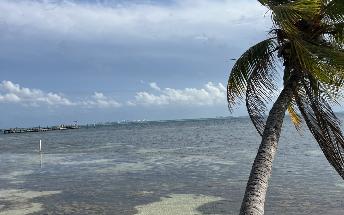 Caribbean Coast of Mexico